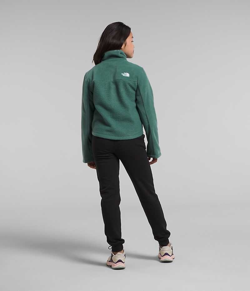 Vestes Polaires The North Face Fleece Mashup Fille Vert | FR WUBCZ