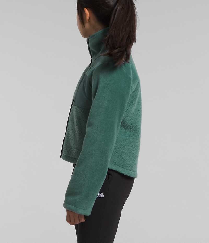 Vestes Polaires The North Face Fleece Mashup Fille Vert | FR WUBCZ