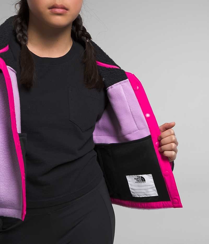 Vestes Polaires The North Face Fleece Mashup Fille Multicolore | PARIS AXVYW