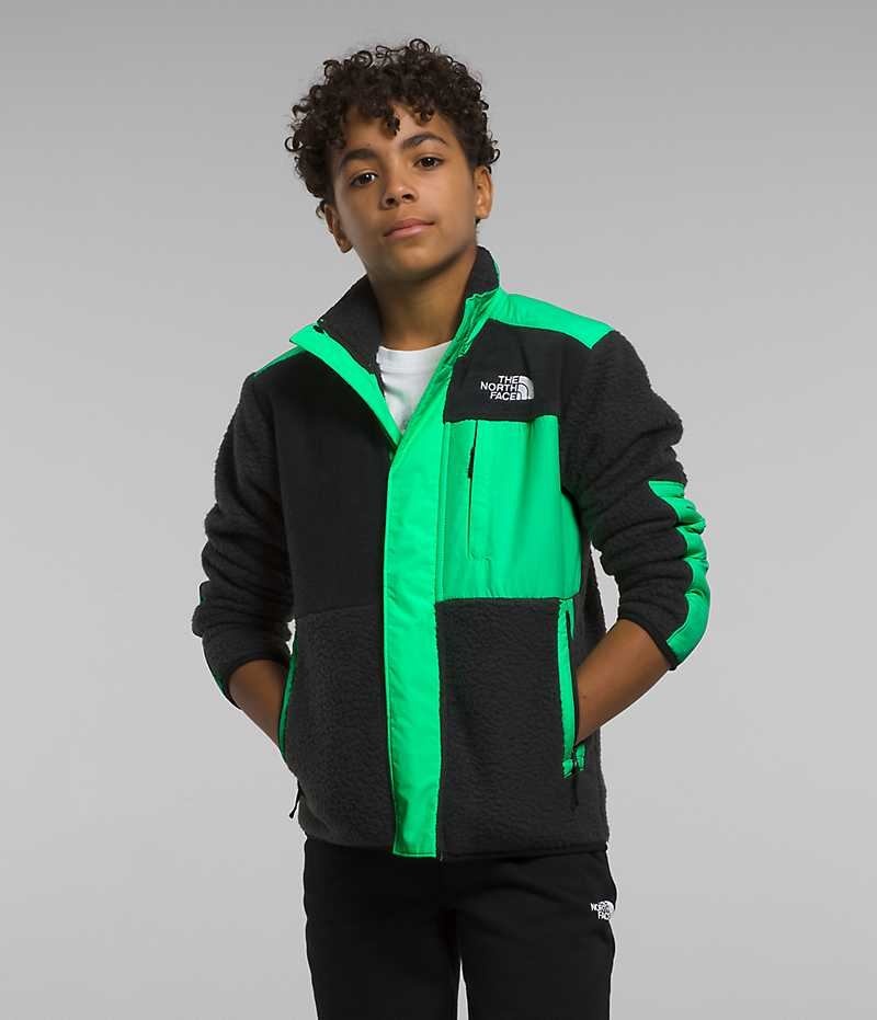 Vestes Polaires The North Face Forrest Mashup Garcon Noir Vert | FR EVQSP