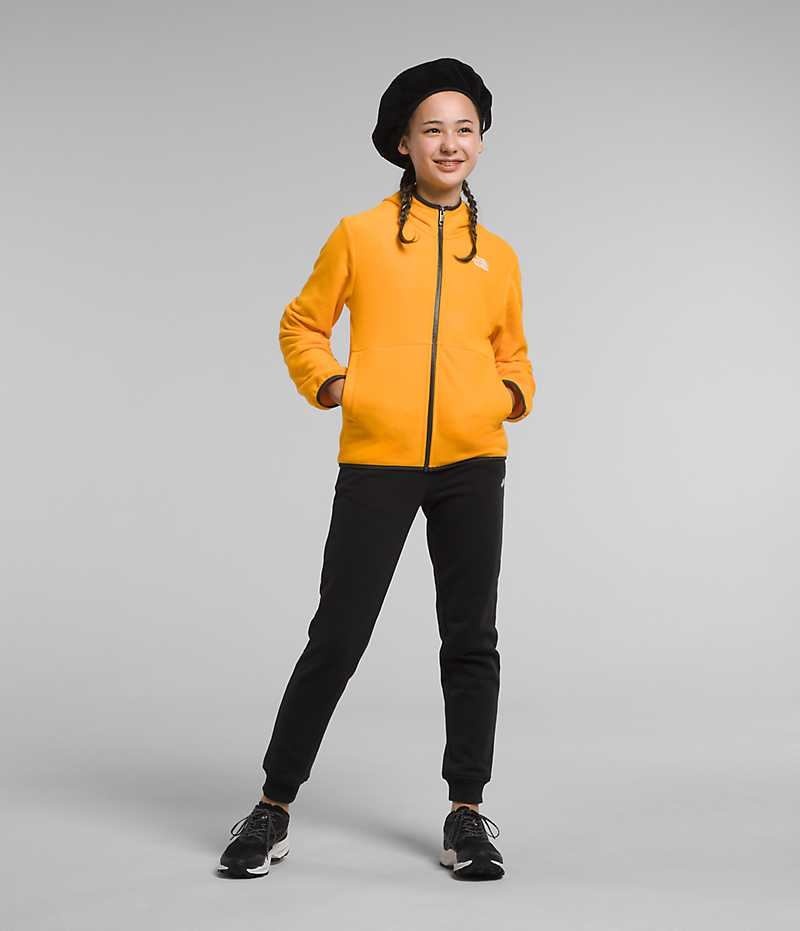 Vestes Polaires The North Face Glacier Full-Zip Encapuchonné Fille Doré | PARIS JTSBK