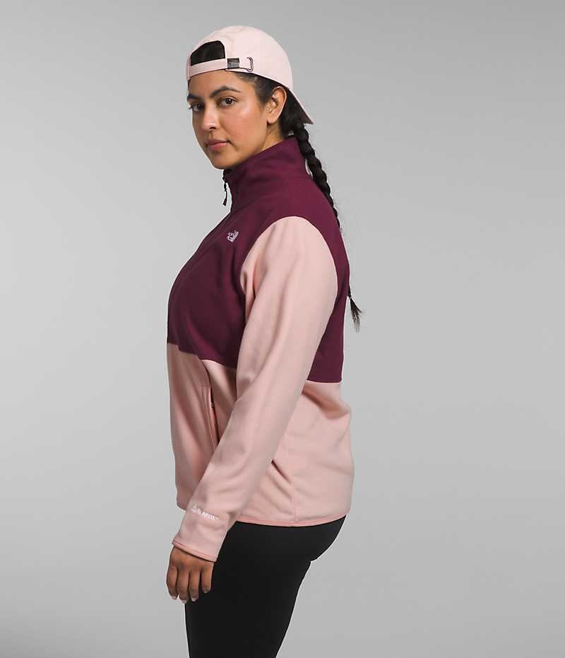 Vestes Polaires The North Face Plus Alpine Polartec® 100 Femme Rose | FRANCE SNDHO