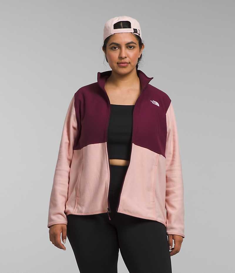 Vestes Polaires The North Face Plus Alpine Polartec® 100 Femme Rose | FRANCE SNDHO