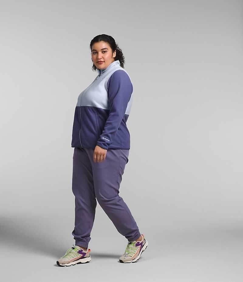 Vestes Polaires The North Face Plus Alpine Polartec® 100 Femme Bleu | FR WLKYO