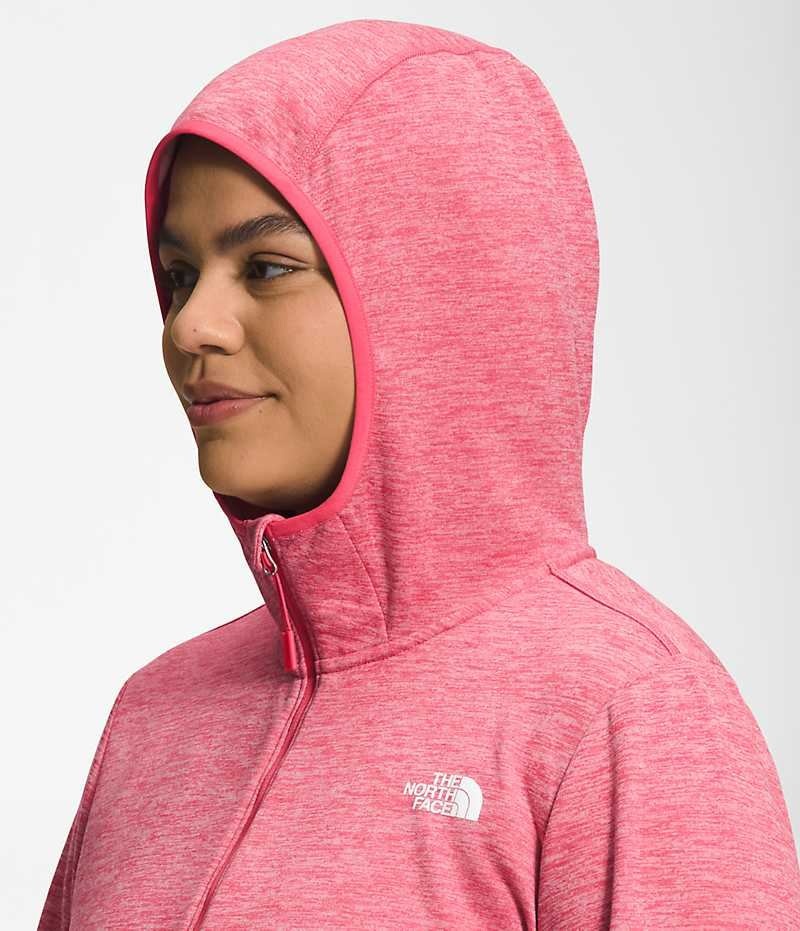 Vestes Polaires The North Face Plus Canyonlands Hoodie Femme Rose | PARIS LICUE