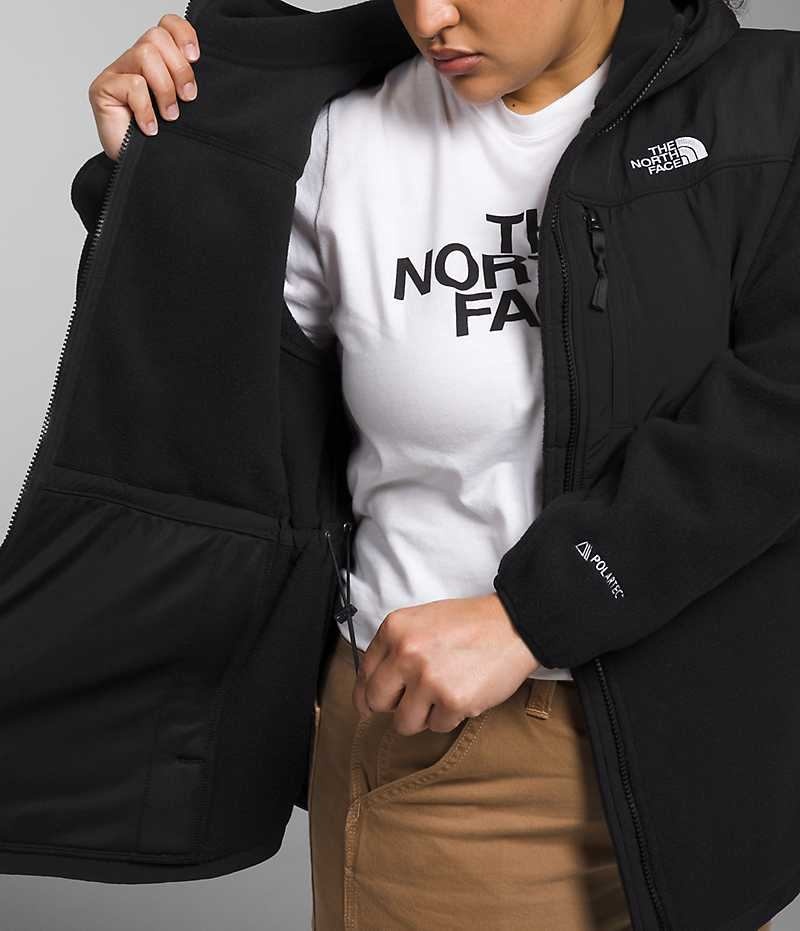 Vestes Polaires The North Face Plus Denali Hoodie Femme Noir | FRANCE RXUAV