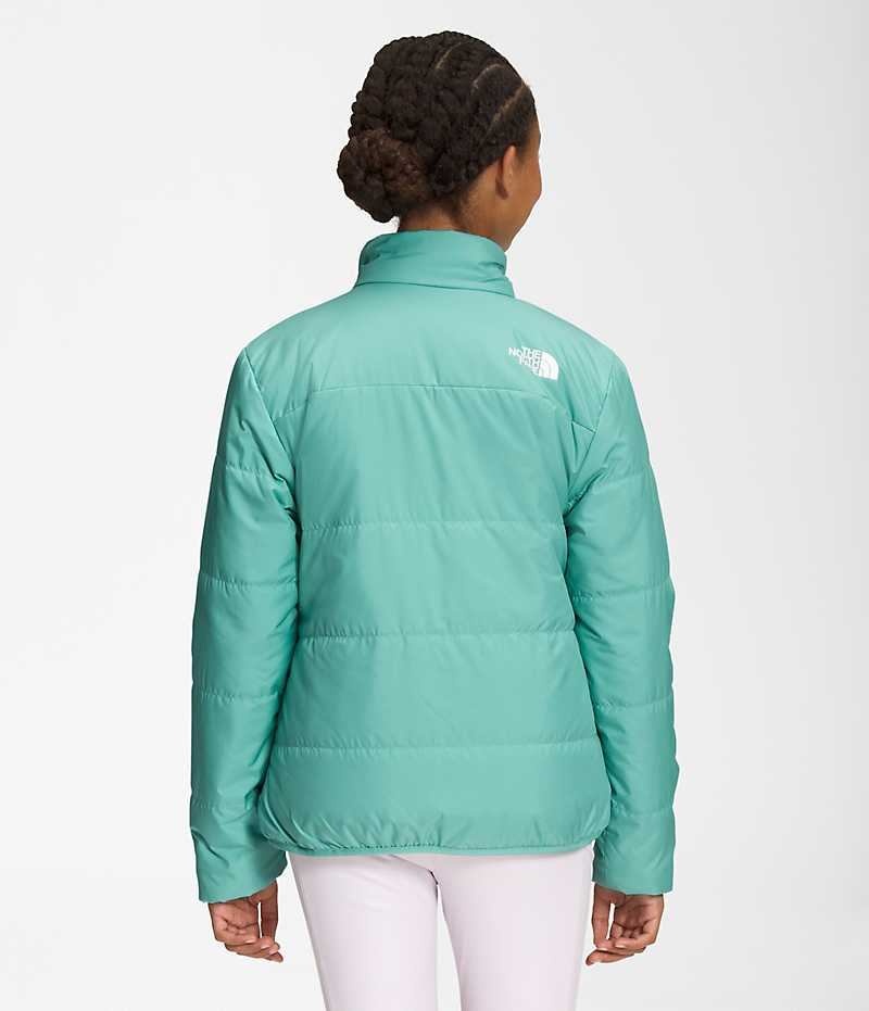 Vestes Polaires The North Face Reversible Mossbud Fille Turquoise | PARIS QCWGH