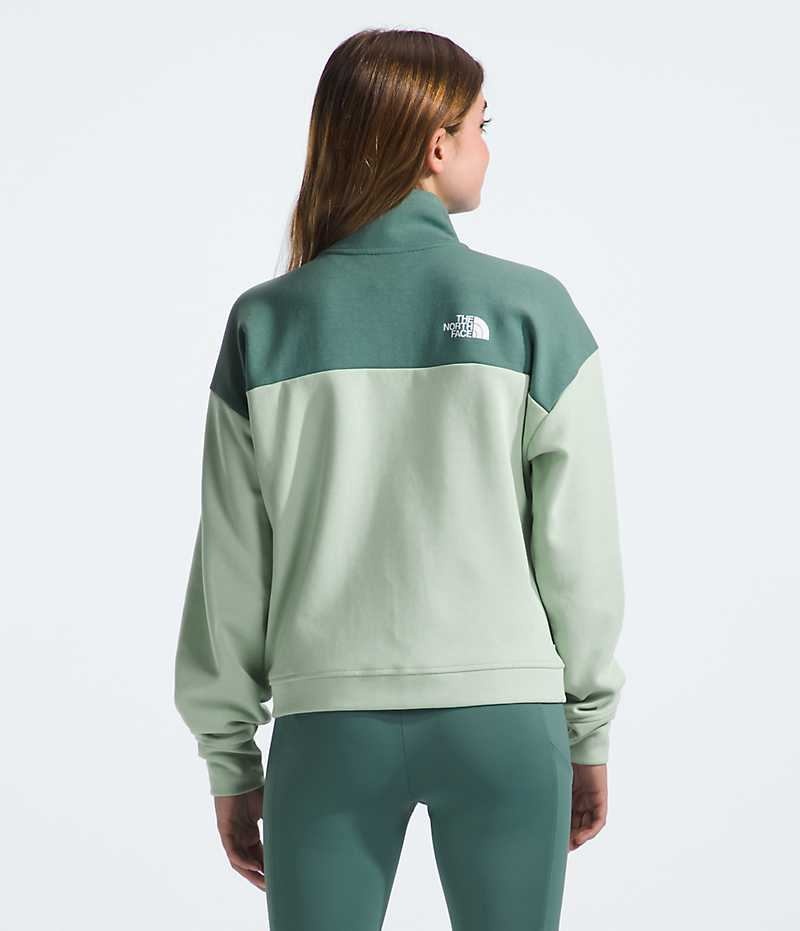 Vestes Polaires The North Face TNF™ Tech Full-Zip Fille Vert | PARIS OUHWM